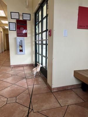 Sepulveda Animal Hospital