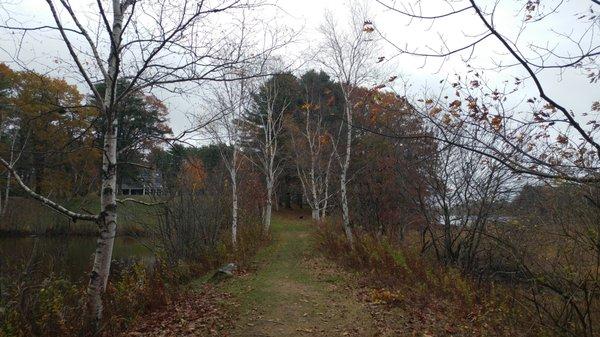 Spear Farm Estuary Preserve from autumn of '17.