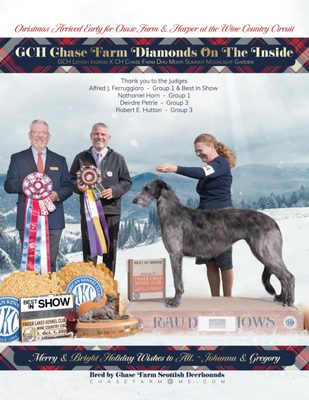 GCH Chase Farm Diamonds On The Inside says thank you Tracy!