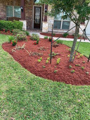 Mulch,flower bed clean up, flowers