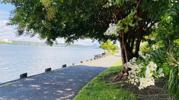 Breezes off the Potomac while sitting on a bench in the shade... perfect