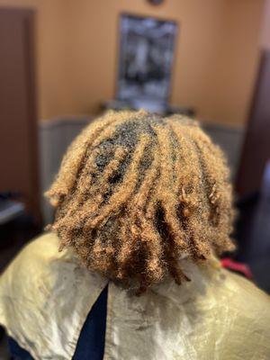 Before Color * Loc Retwist * Style