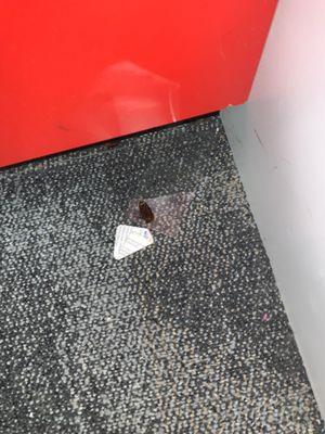 Unclean, roaches near pharmacy