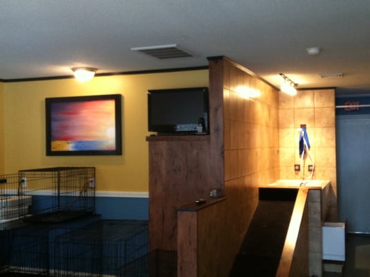 Mr Pooch Pet Grooming Boutique