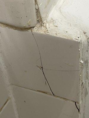 Cracked and broken bathroom tiles.