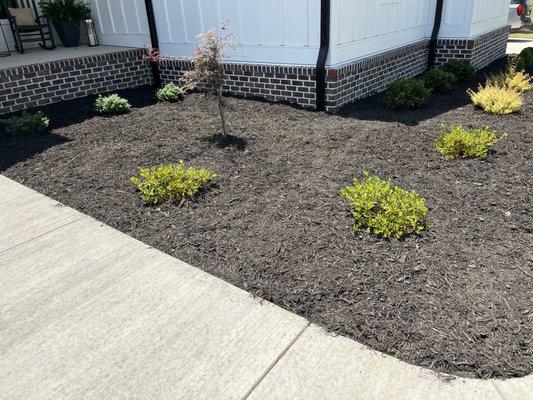 Mulch installation