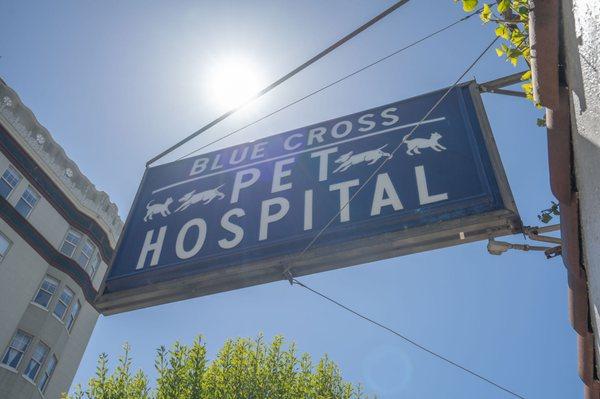 Blue Cross Pet Hospital