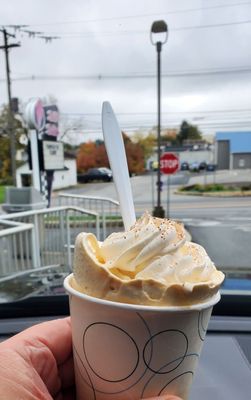 Small Pumpkin Pie Flurry