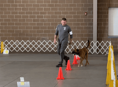 Rally Intermediate Run at recent show