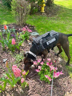 Can't forget to stop and sniff the flowers!