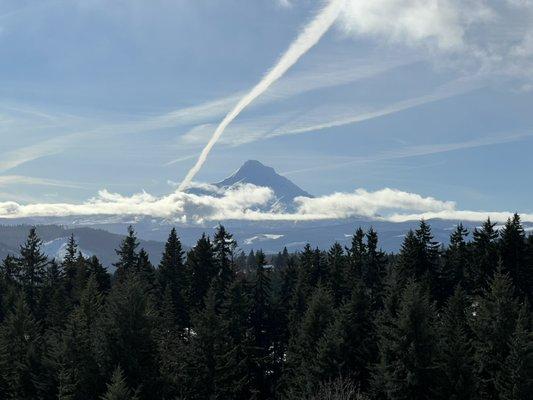 Mt. Hood