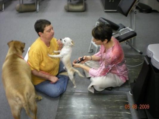 Dr. Stotts adjusting a dog with the Pro Adjuster