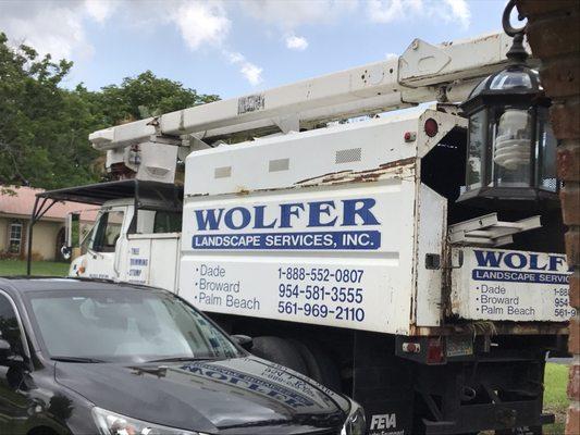 Wolfer Landscape Services