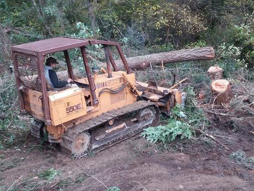 logging job on fox island