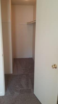 walk in closet in 1 bedroom apartment