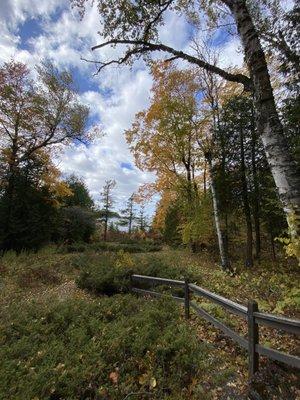 View from behind lodge