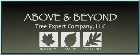 Above & Beyond Tree Expert Company, LLC