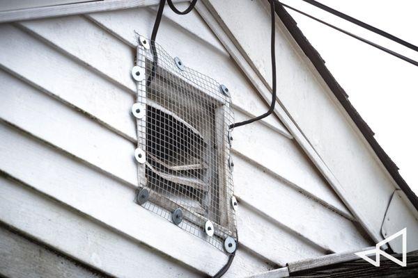 Attic Rodent Proofing