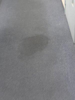 Stain carpet