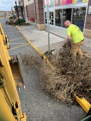 Cleanup for new plants