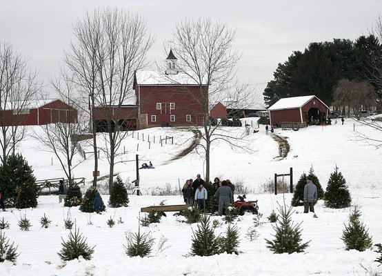 Christmas at the Peterson Farm
 Hunterdon County, NJ