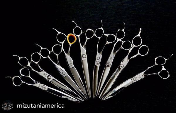 Mizutani Shears