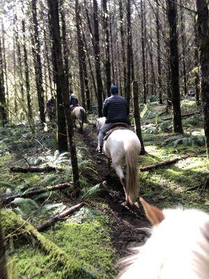 Straight up riding through the forest