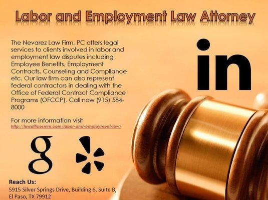 Labor and Employment Law Attorney