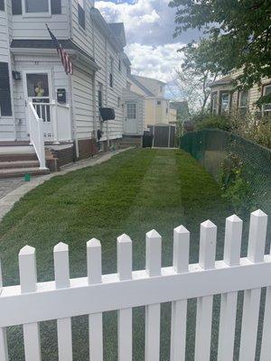 Side yard sod