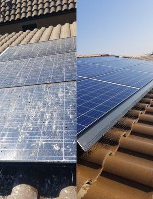 Pinnacle Solar Panel Cleaning Company