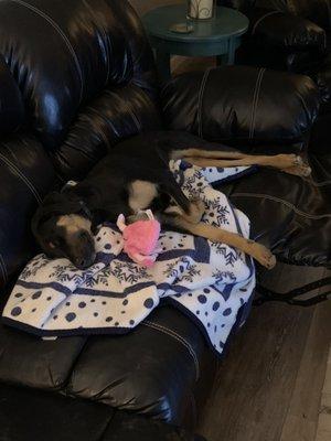 Olive and her flamingo take a nap.