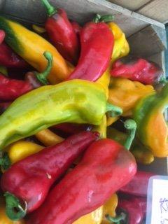 Sweet long peppers