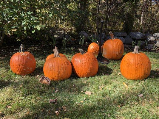 2019 Pumpkin Slicing Festival 3