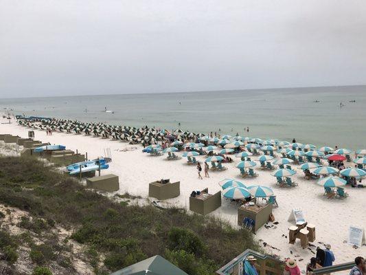 Every inch of beach filled with their empty chairs. Awful. Should be illegal.