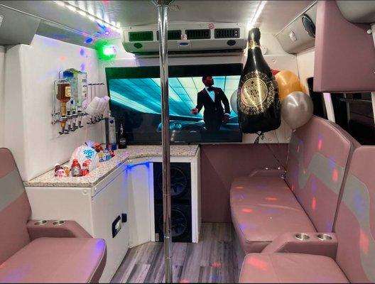 15 PASSENGER PARTY BUS