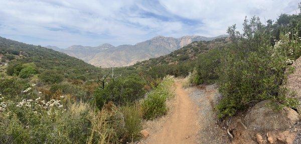 Take a hike! It's epic views of Blossom Valley will be breath taking