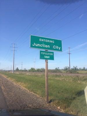 Junction City Local Government