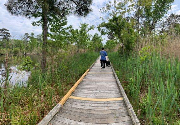 Accessible and scenic walking trails