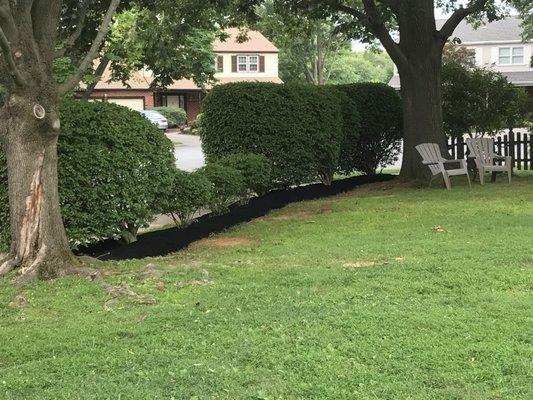 Our team completed some trimming finished off with new Black Mulch.