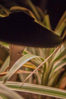 Landscape lighting is a good way to enjoy and enhance your landscaping at night!