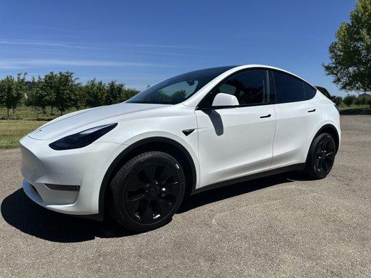 Tesla Model Y Paint Protection Film Driver Package