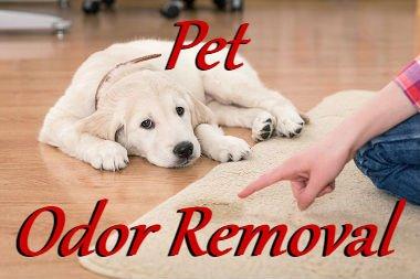 Our powerful enzymes work to remove pet odors and stains