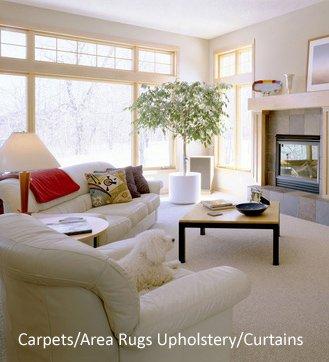 Services provided - Carpets/Area Rugs Upholstery/Curtains