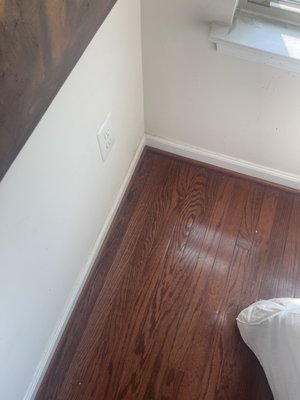 Floor Cleaning Hardwood