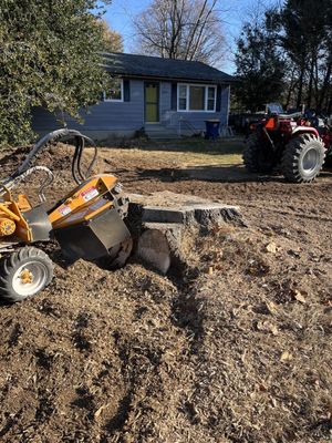 Ensley's Stump Removal