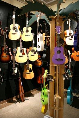 Our Acoustic room holds guitars, ukuleles, violins, mandolins, banjos, and more!