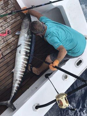 Great big wahoo