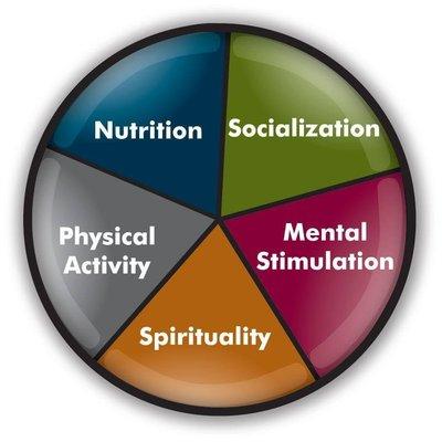 The 5 pillars of brain health!