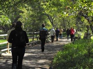 Writing Retreat walking meditation by Oak Creek