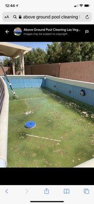 Neglected above ground pool before service.